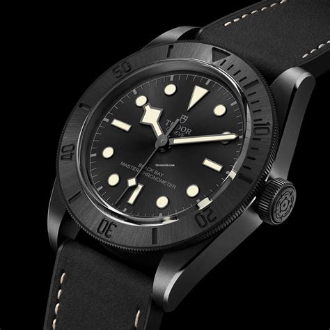 2021 tudor watch|tudor 41mm black bay.